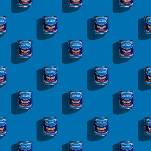 Premium canned cat food